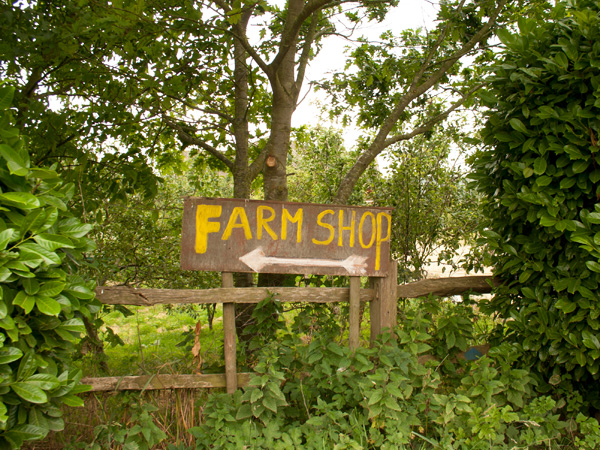 farm shop01