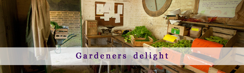 コラム『Gardeners delight』