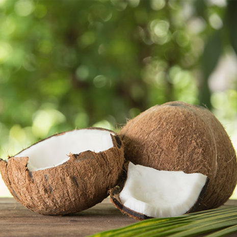 butu_echinasea06 素材:グリセリン