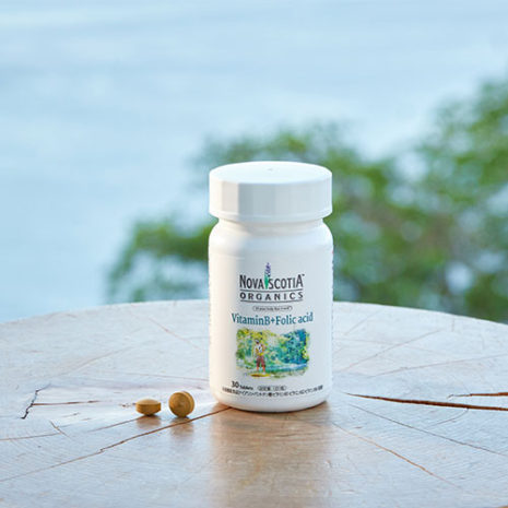 butu_B03 ビタミンB群+葉酸 エナジーバーン03