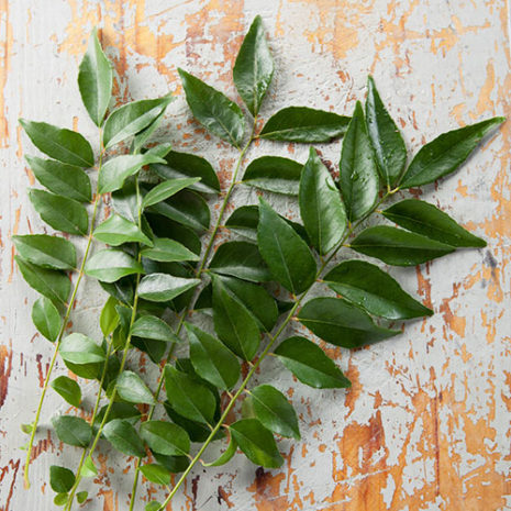 butu_IronVitaminC03 素材:カレーリーフ