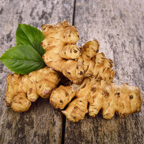 butu_vd03 素材:キクイモ