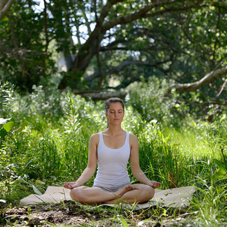 butu_vd06 ビタミンD3 ハッピーマインド03