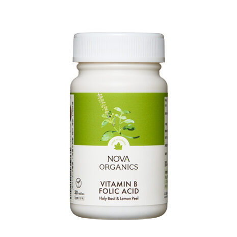 ビタミンB群+葉酸 エナジーバーン01