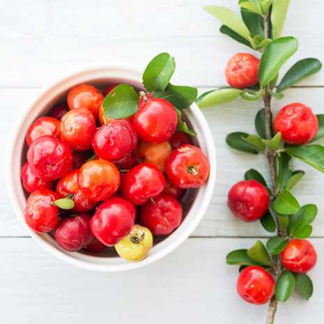 butu_zinc05 素材:アセロラ