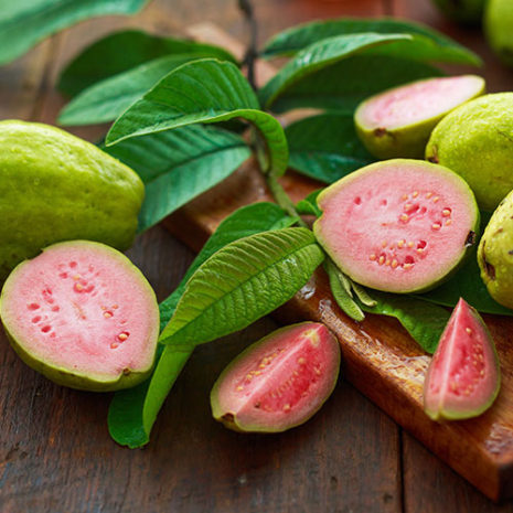 butu_zinc08 素材:グァバ