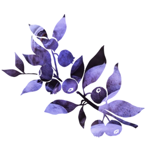 ブランドイメージ01