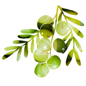 ブランドイメージ05