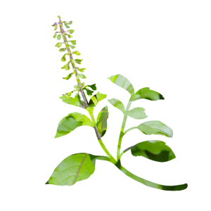 ブランドイメージ04