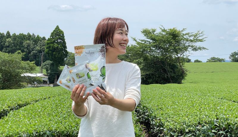 鹿児島の茶畑08